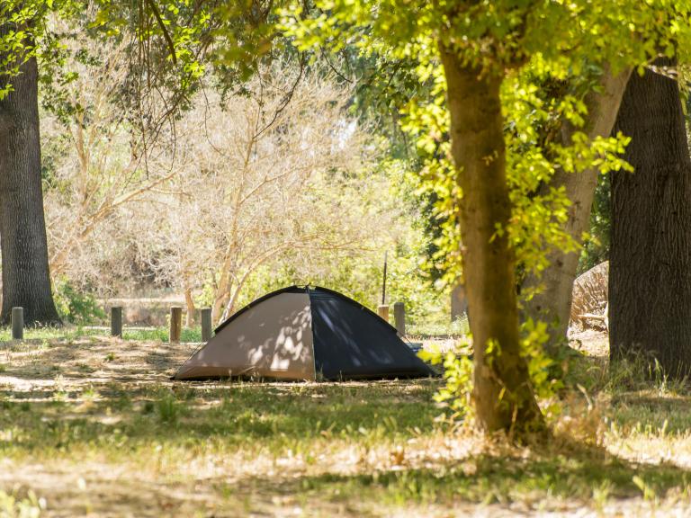 McConnell State Recreation Area | Photo: © Brian Baer, 2015, California State Parks.