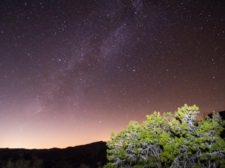 Anza-Borrego