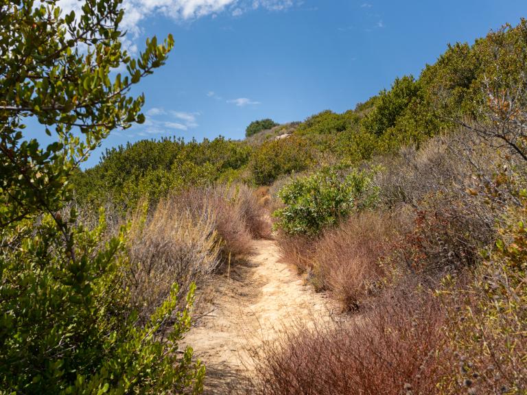 Yucca Trail in Gaviota State Park, California