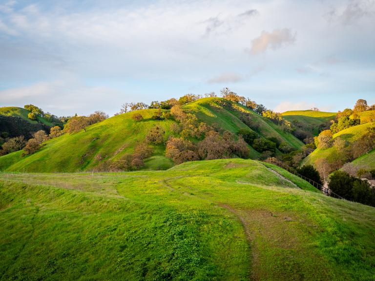 Mount Diablo State Park