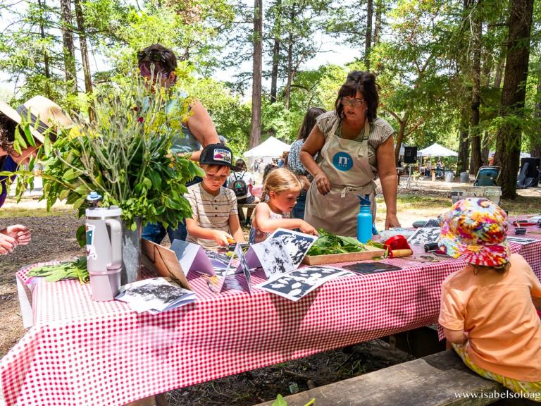 nspired by the Land: Art at Bothe-Napa Valley State Park
