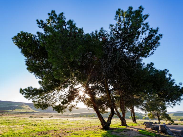 San Luis Reservoir State Recreation Area