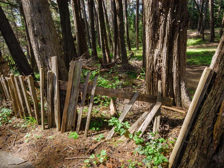 Fort Ross State Historic Park