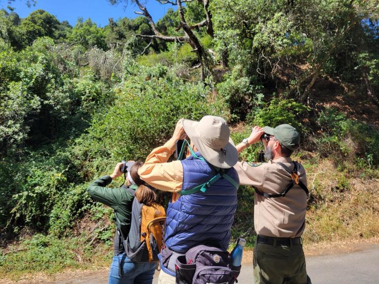 Bird watching during California State Parks Week on Angel Island State Park