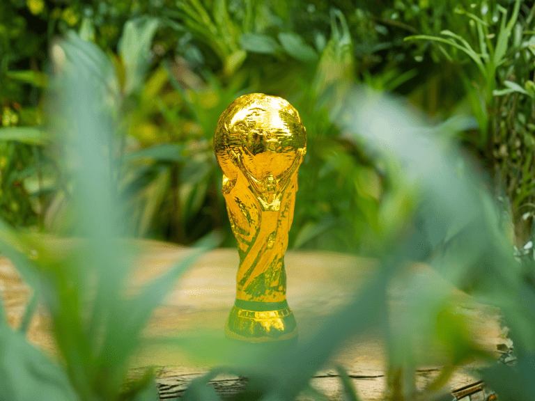 FIFA World Cup