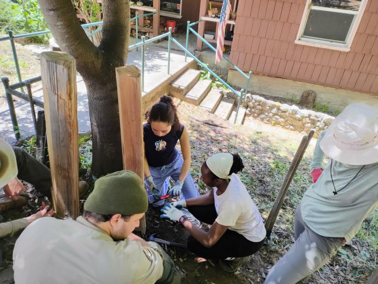 Volunteers at Henry Cowell Redwoods State Park