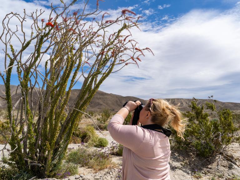 Photographer in Anza-Borrego Desert State Park