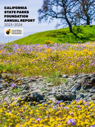 Annual Report 2023-2024