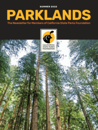 Parklands Summer 2022