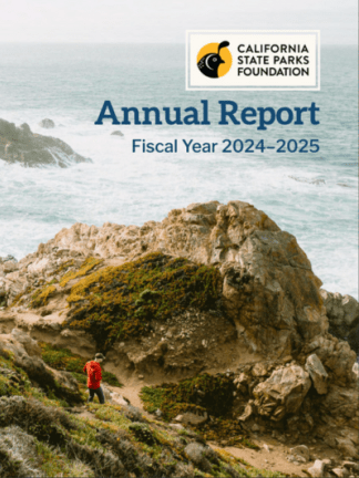 Annual Report 2024-2025
