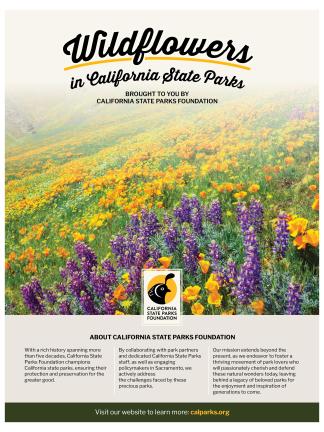 Wildflower Guide Thumbnail
