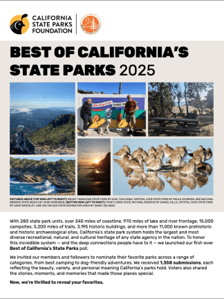 Best Of 2025 Cover