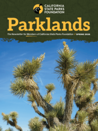 Parklands Spring 2026