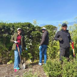 Volunteer team trimming back overgrowth