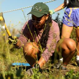 Volunteer at Baldwin Hills Scenic Overlook