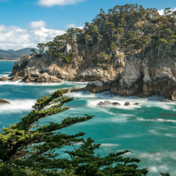 Point Lobos State Natural Reserve