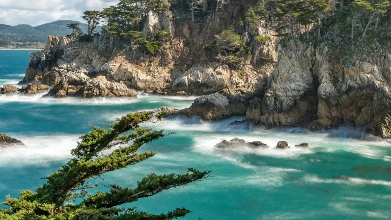 Point Lobos SNR