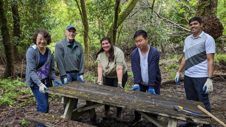 Henry Cowell Redwoods State Park