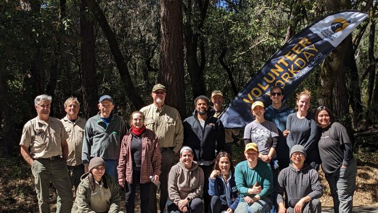 Henry Cowell Redwoods State Park