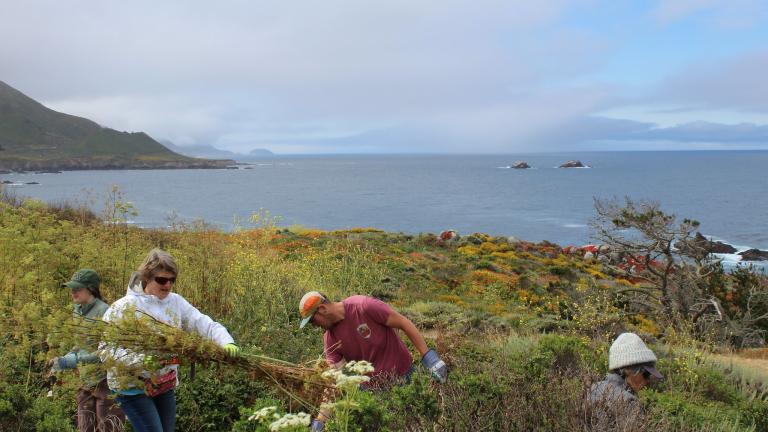 Garrapata State Park