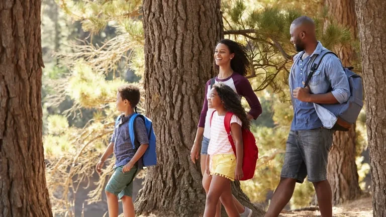 Family in Parks