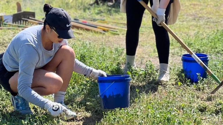 Woman volunteering