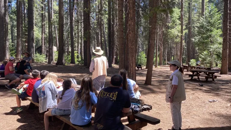 Calaveras Big Trees