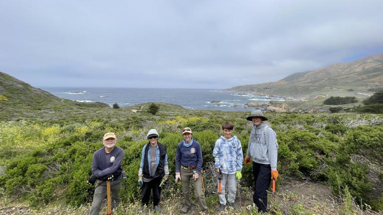 volunteers overlooking beach clearing brush and maintaining a state park