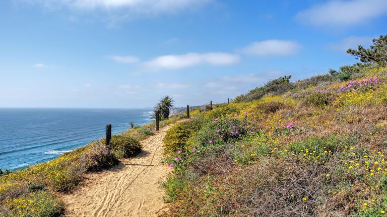 Torrey Pines State Park