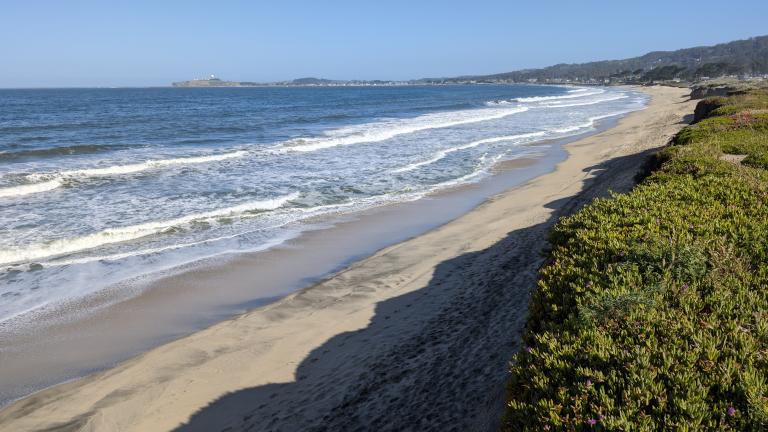 Half Moon Bay State Beach shoreline