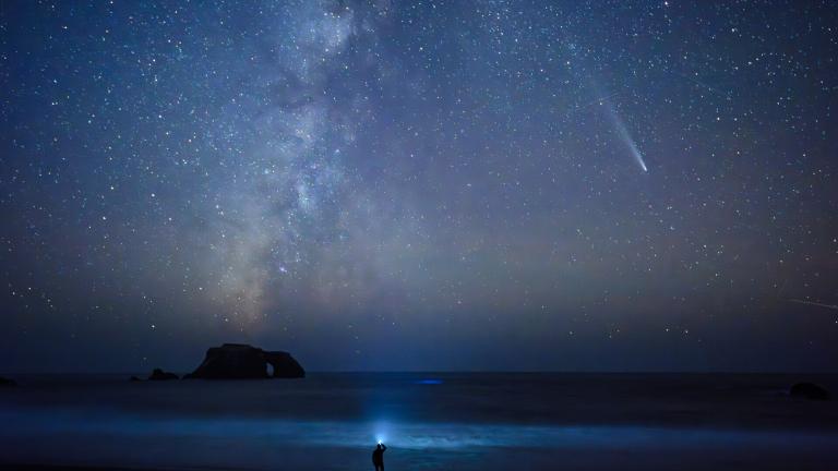 Sonoma Coast State Park