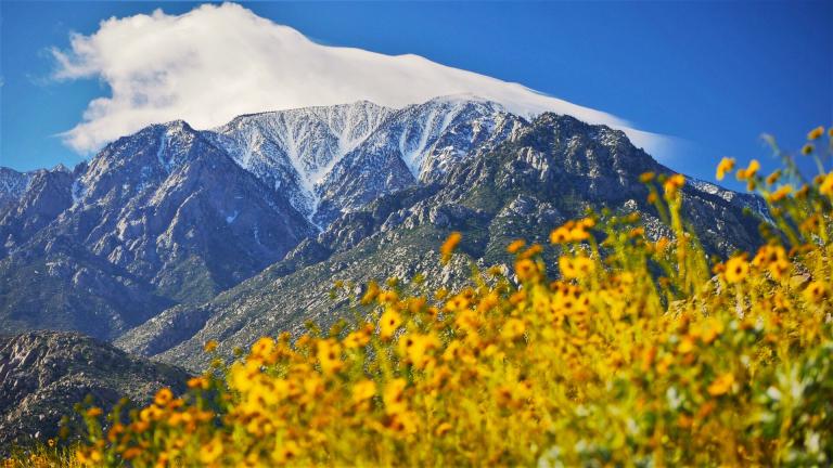 Mount San Jacinto State Park