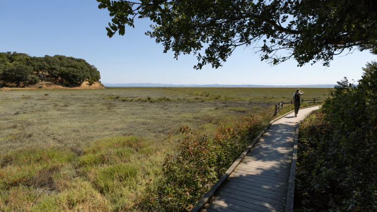 China Camp State Park