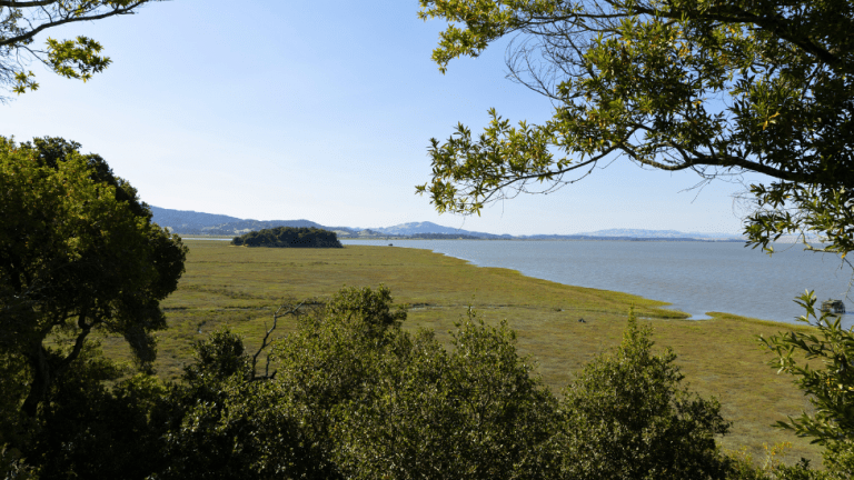 China Camp State Park