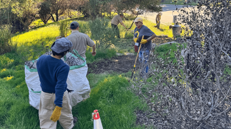 California State Parks Foundation volunteers at Topanga State Park