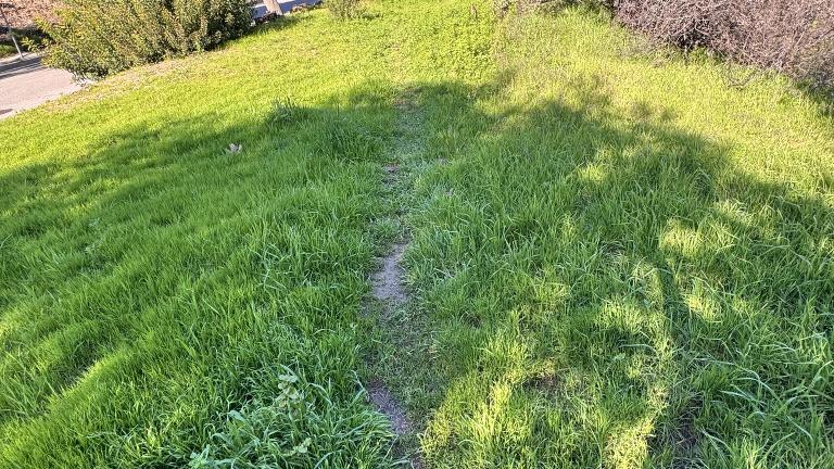 Los Leones Trail in Topanga State Park Before