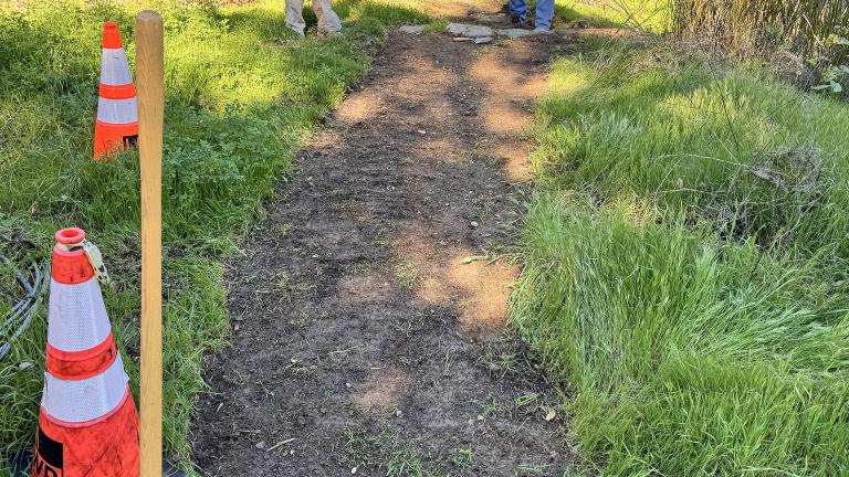 Los Leones Trail in Topanga State Park After