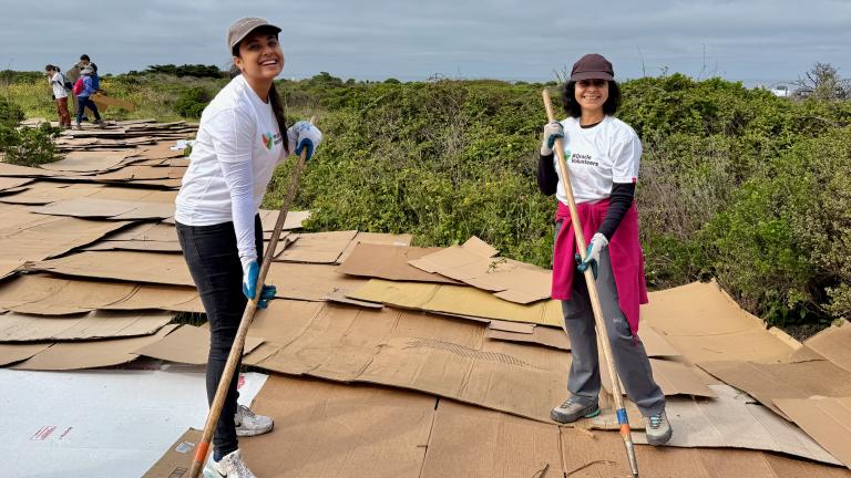 Corporate Volunteers