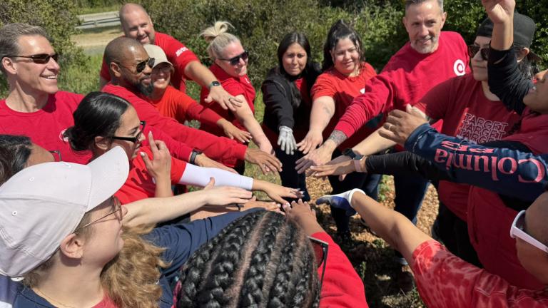 Corporate Volunteers