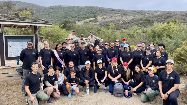 Corporate Volunteers