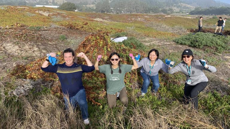 Corporate Volunteers