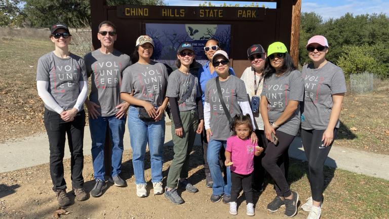 Corporate Volunteers