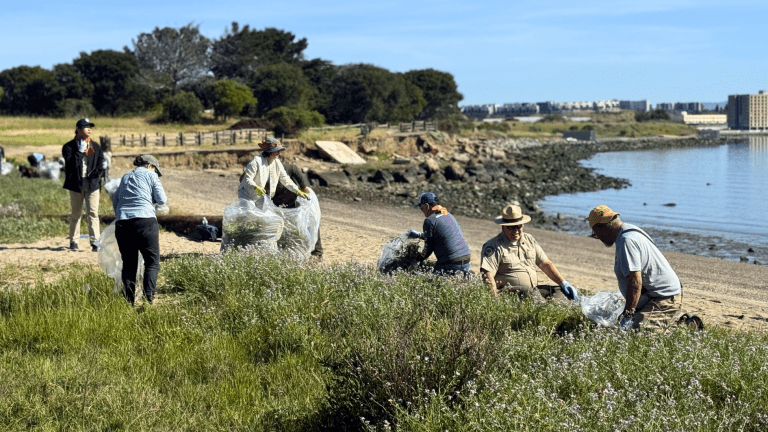 Candlestick Point State Recreation Area