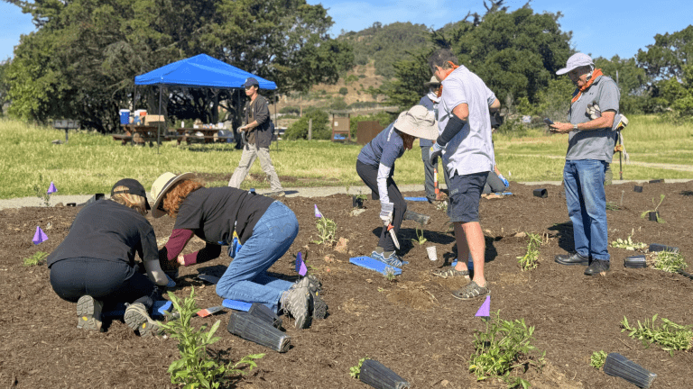 Candlestick Point State Recreation Area