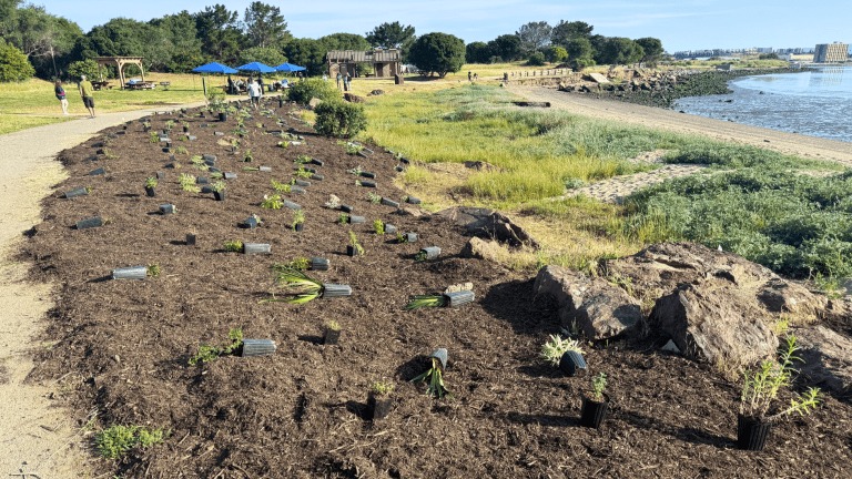 Candlestick Point State Recreation Area
