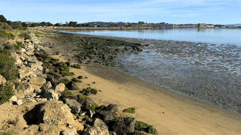 Candlestick Point State Recreation Area