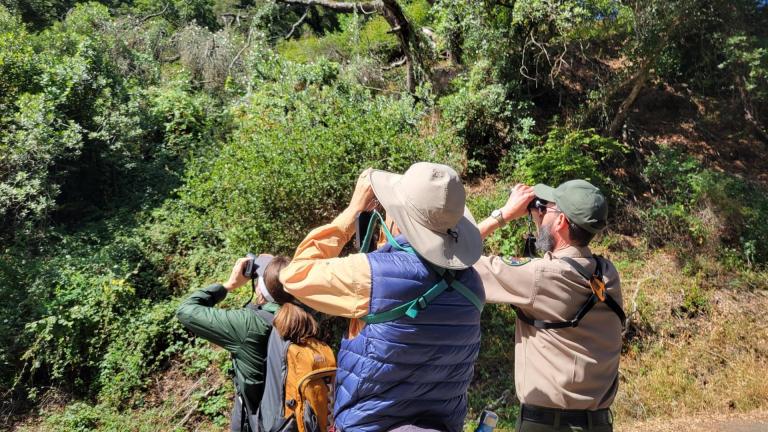 Bird watching during California State Parks Week on Angel Island State Park