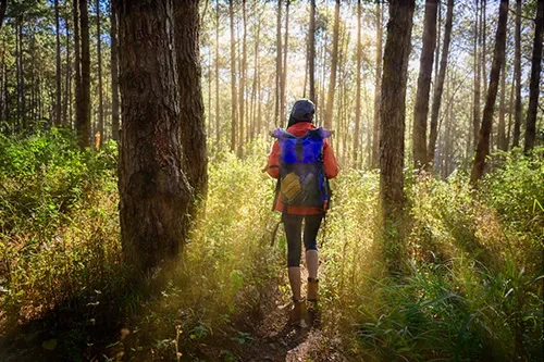 Woman wearing backpack walking through forest trail during the morning. 