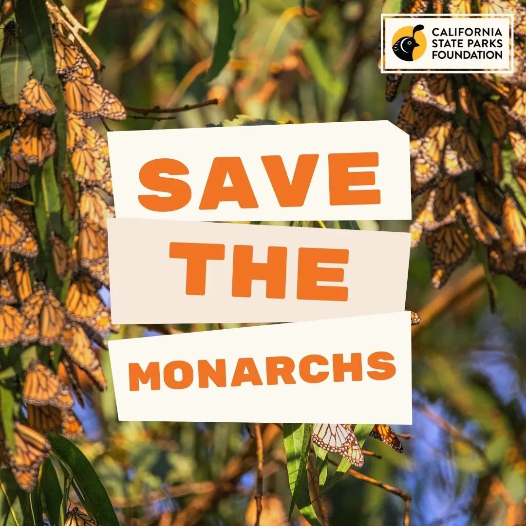 Save the Monarchs