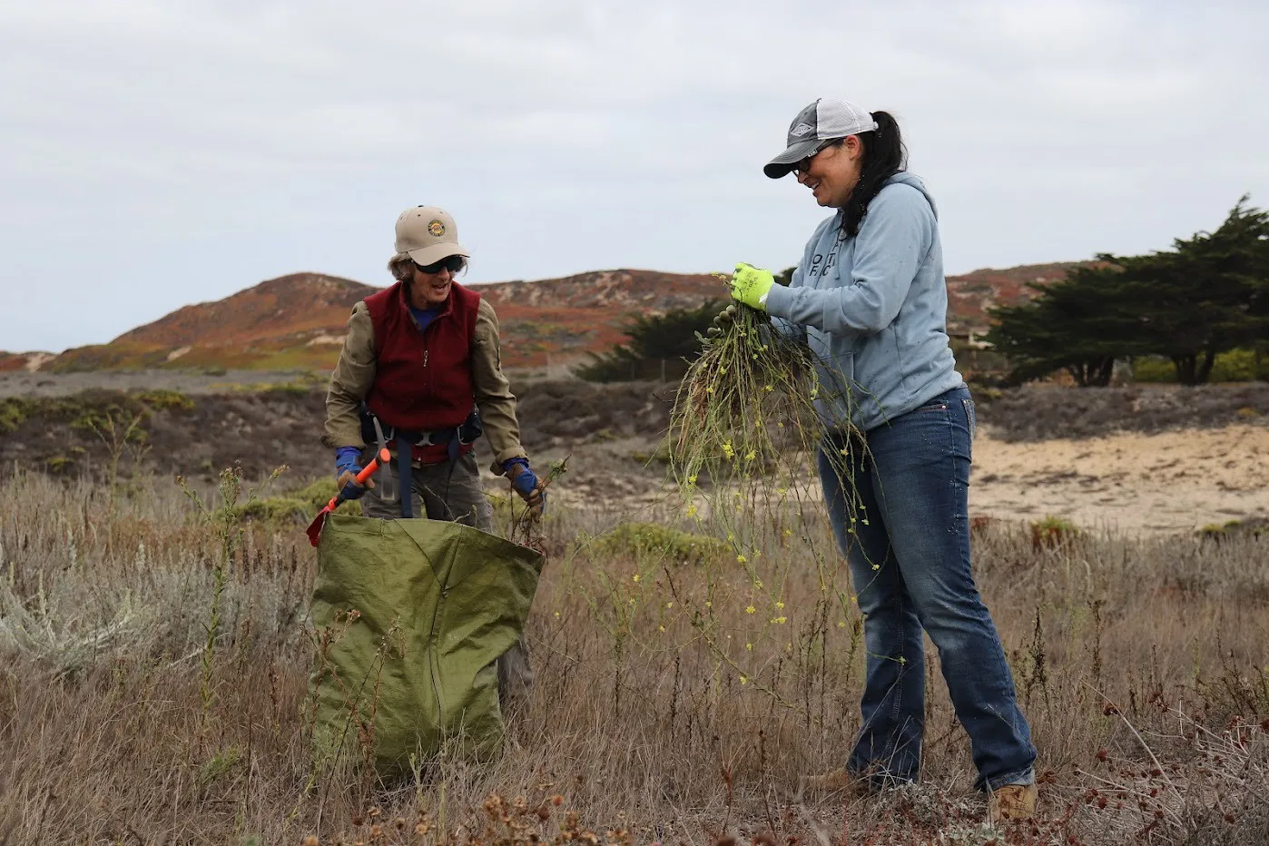 Volunteers at Fort Ord Dunes State Park